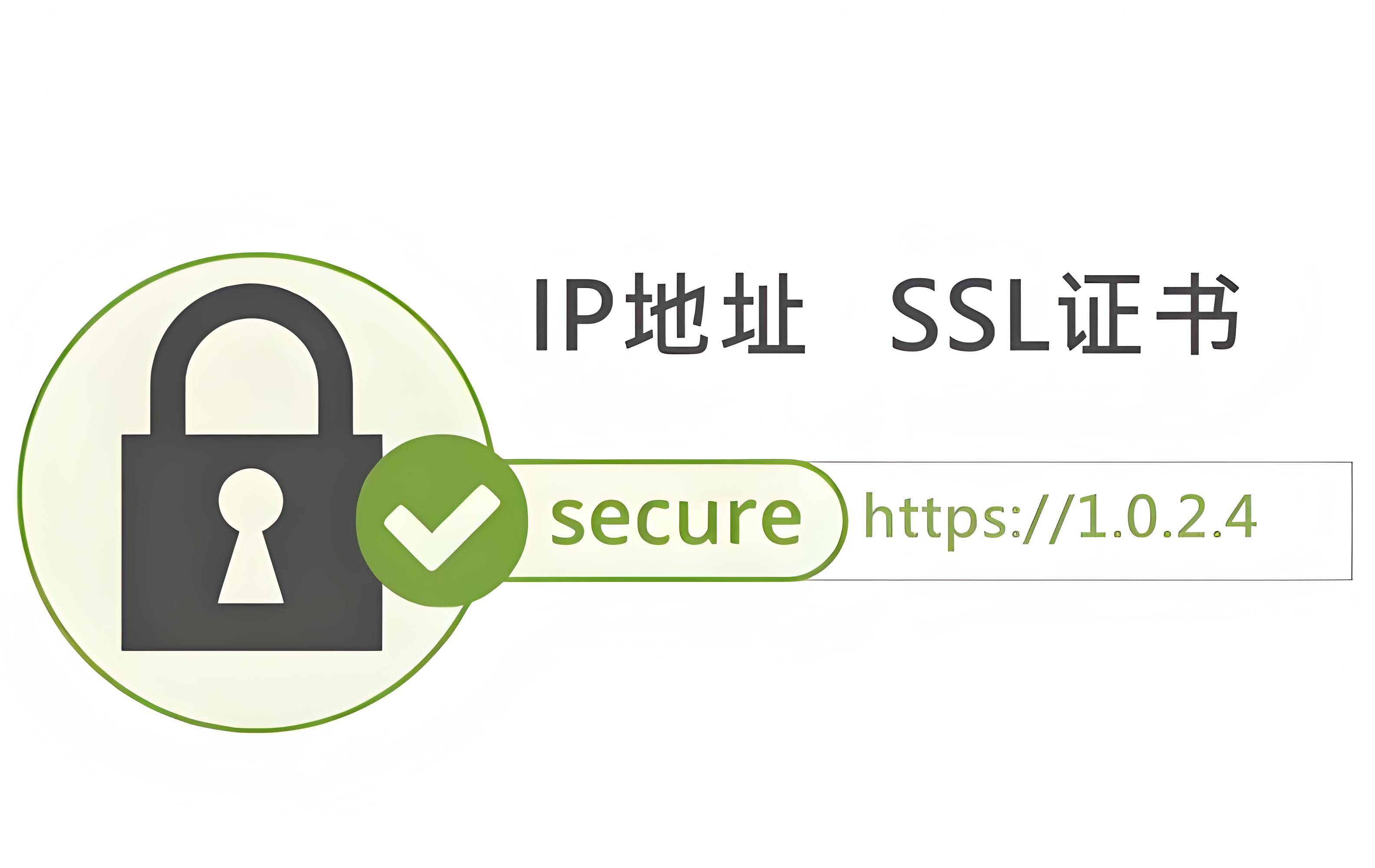 2024澳门免费资料，正版资料_什么是SSL证书以及SSL证书为何如此重要