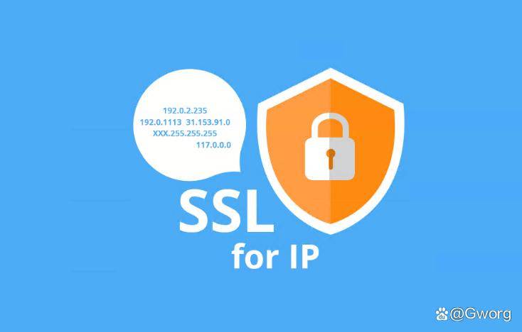 2024澳门精准正版资料_对IP地址申请SSL证书