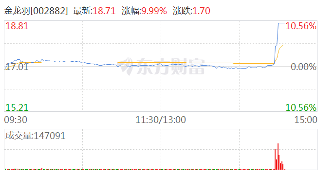 固态电池概念尾盘拉升 金龙羽涨停  第1张