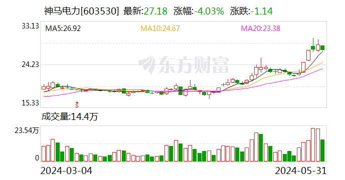 神马电力（603530.SH）：公司控股股东及其一致行动人累计质押1.1亿股 占所持公司股份30.94%