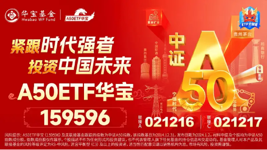 微盘股批量杀跌，A50鼎力护盘！A50ETF华宝（159596）顽强收平，机构：重视宏观波动中的“定力”资产  第5张