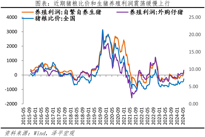 新一轮猪周期来了吗？  第3张