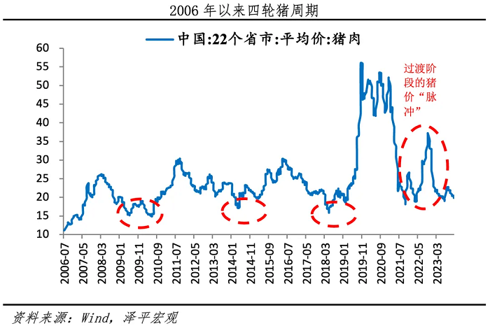 新一轮猪周期来了吗？  第7张