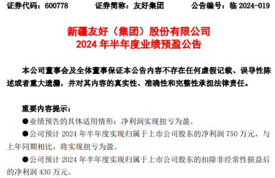 友好集团2024年上半年预计净利750万 同比扭亏为盈  第1张