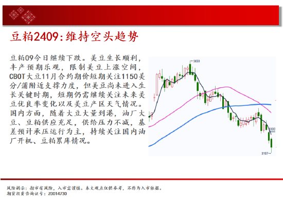 中天期货:原节奏转区间回落 油螺纹继续下行  第12张