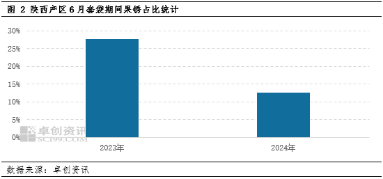 【苹果调研】新季苹果套袋情况简报