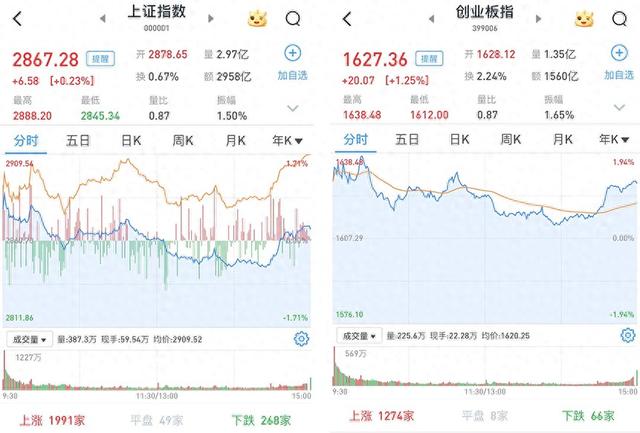 A股缩量震荡收涨，4765股飘红，教育板块大幅上涨