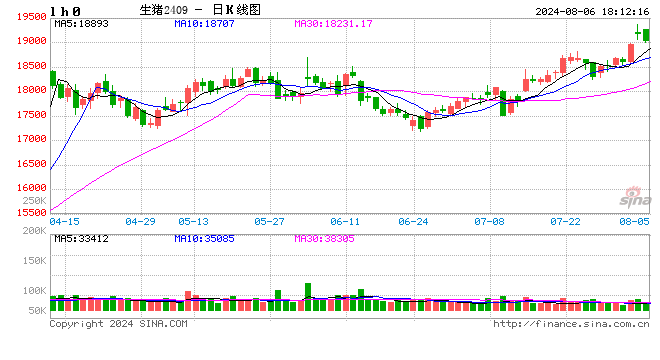 每日猪讯8.6  第2张