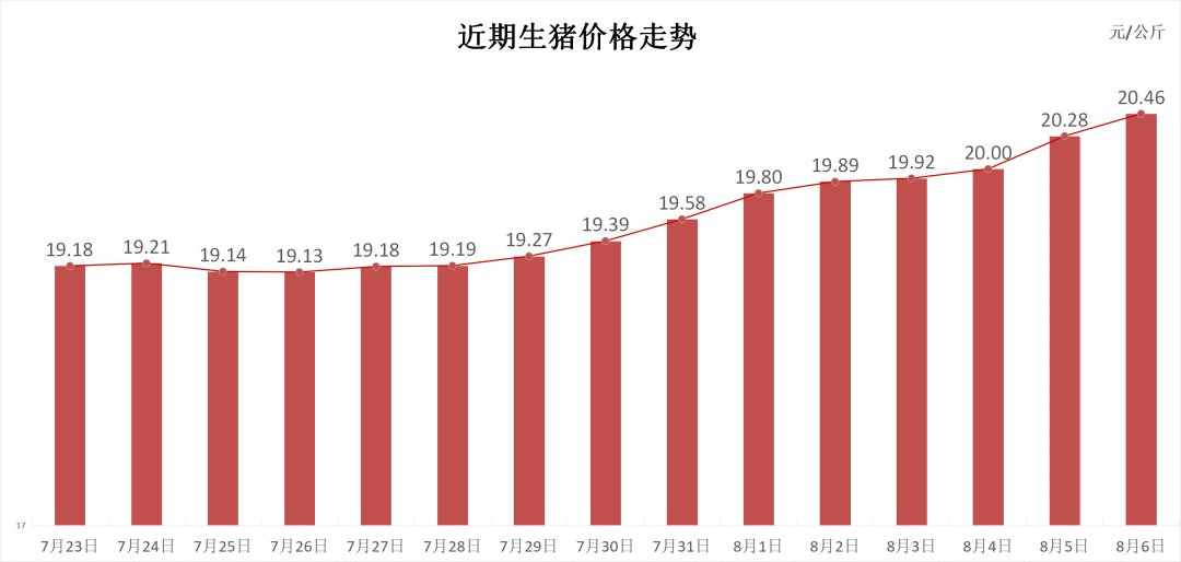 每日猪讯8.6  第3张