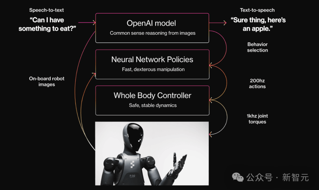 OpenAI 版终结者降临！地表最强机器人 Figure 02 问世，进宝马狂飙 20 小时