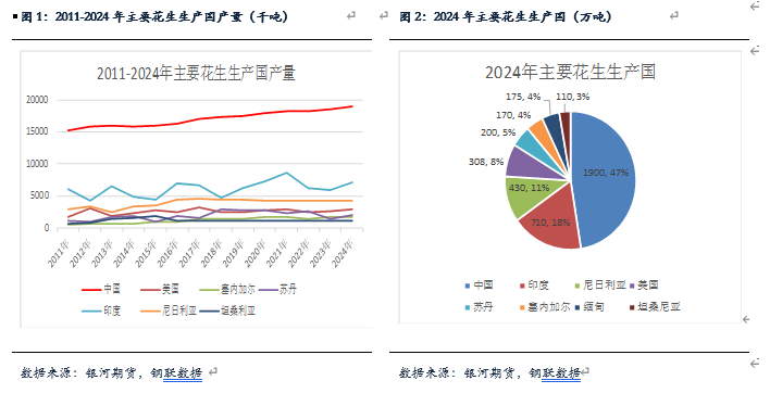 【花生月报】花生产量低于预期  现货仍有下跌空间 第3张